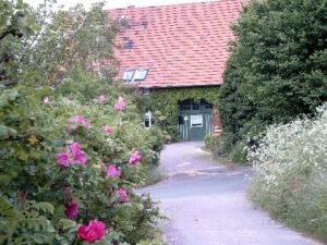 Bauernhaus in Luhden